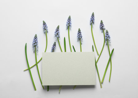 Beautiful spring muscari flowers and card on light background, flat lay. Space for textの写真素材