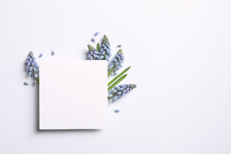 Empty card and spring muscari flowers on white background, top view. Space for textの写真素材