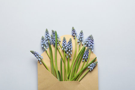 Envelope with beautiful spring muscari flowers on gray background, top viewの写真素材