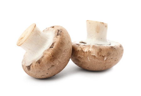 Fresh raw champignon mushrooms on white backgroundの写真素材