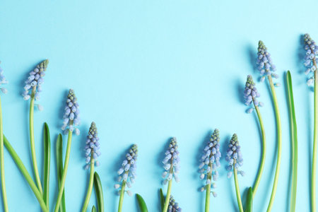 Flat lay composition with spring muscari flowers on color background, space for textの写真素材