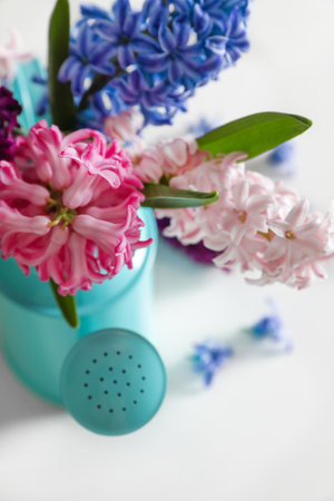 Beautiful hyacinths in watering can on table, closeup. spring flowersの写真素材