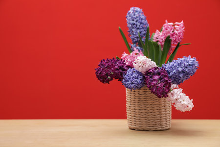 Beautiful hyacinths in wicker pot on table against color background, space for text. spring flowersの写真素材