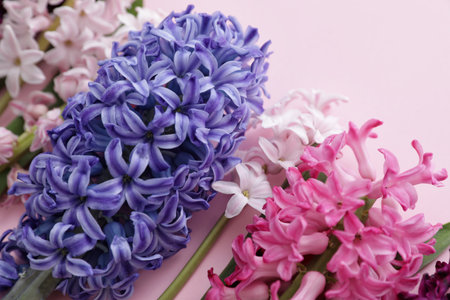 Beautiful spring hyacinth flowers on color background, closeupの写真素材