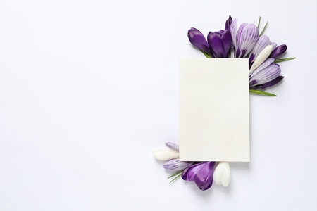 Beautiful spring crocus flowers and card on white background, top view. Space for textの写真素材