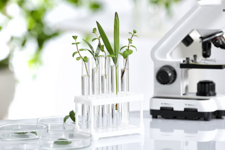 Laboratory glassware with different plants on table against blurred background. Chemistry researchの写真素材