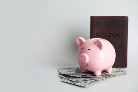 Piggy bank with passport and money on light background, space for text. travel agencyの写真素材