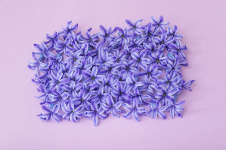 Many blooming spring hyacinth flowers on color background, top viewの写真素材