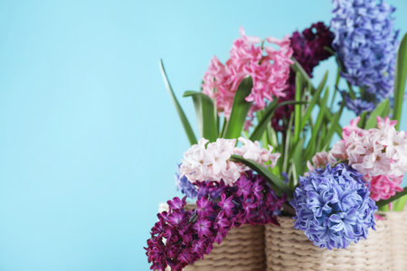 Beautiful hyacinths in wicker pots on color background, space for text. spring flowersの写真素材
