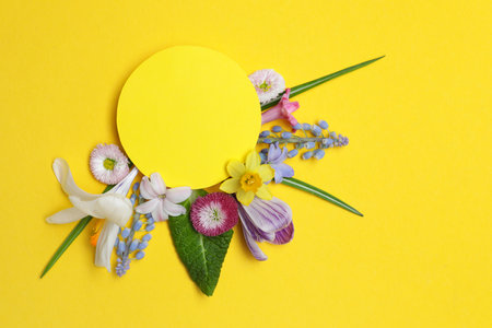 Flat lay composition with spring hyacinth flowers and blank card on color background, space for textの写真素材