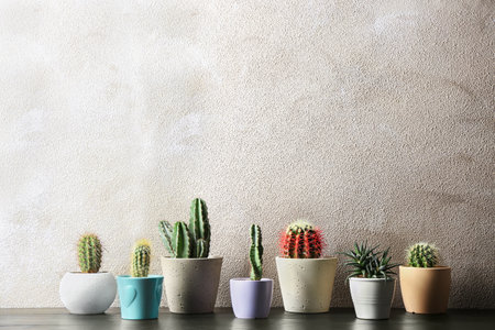 Different potted cacti on table near color background, space for text. interior decorの写真素材