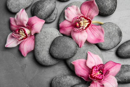 Zen stones and exotic flowers on dark background, above viewの写真素材