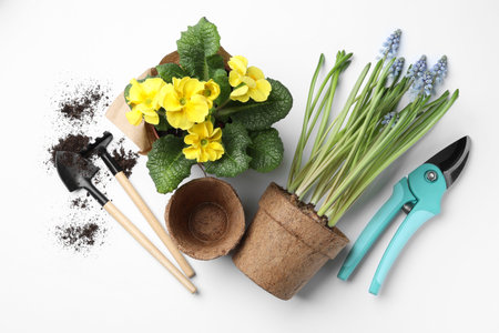 Composition with gardening equipment on white background, top viewの写真素材