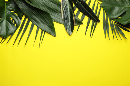 Flat lay composition with tropical leaves and space for text on color backgroundの写真素材