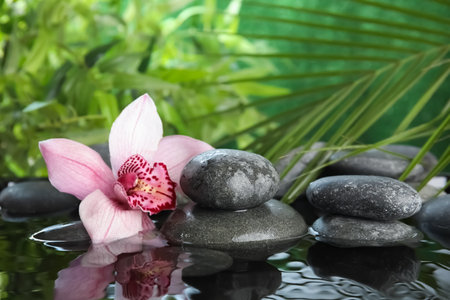 Zen stones and exotic flower in water against blurred background. Space for textの写真素材