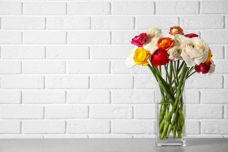 Vase with beautiful spring ranunculus flowers on table near brick wall, space for textの写真素材