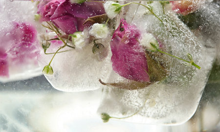 Floral ice cubes in water as background, closeup viewの写真素材