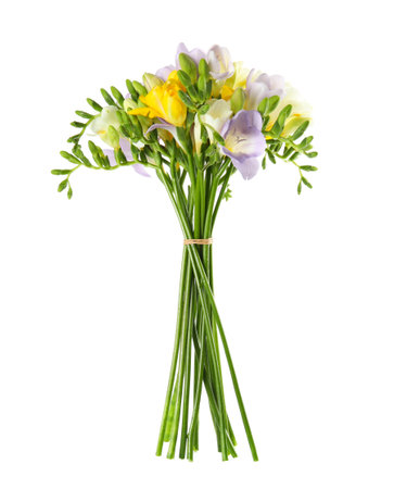Bouquet of fresh freesia flowers isolated on whiteの写真素材