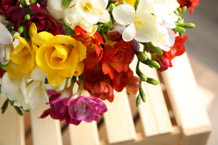 Beautiful spring freesia flowers on blurred background, closeupの写真素材
