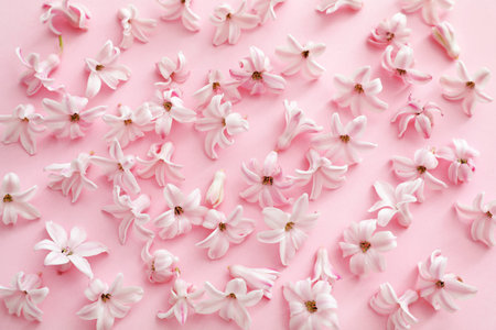 Beautiful spring hyacinth flowers on color backgroundの写真素材