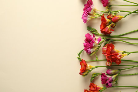 Beautiful freesia flowers on color background, flat lay. Space for textの写真素材