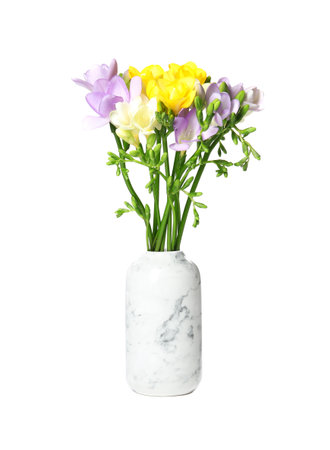 Bouquet of fresh freesia flowers in vase isolated on whiteの写真素材