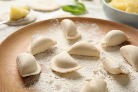 Plate with raw dumplings on table, closeup. home cookingの写真素材