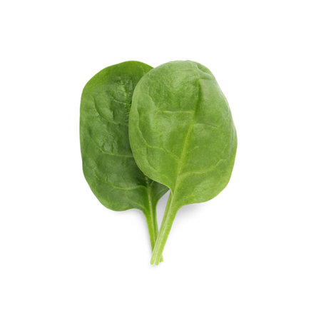 Fresh leaves of spinach isolated on white, top viewの写真素材