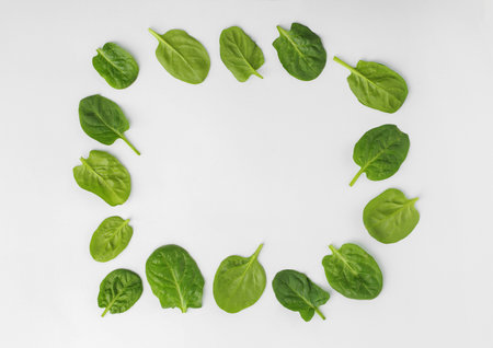 Frame made of spinach leaves on white background, top view. Space for textの写真素材