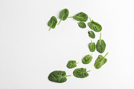 Frame made of spinach leaves on white background, top view. Space for textの写真素材