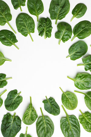 Frame made of spinach leaves on white background, top view. Space for textの写真素材
