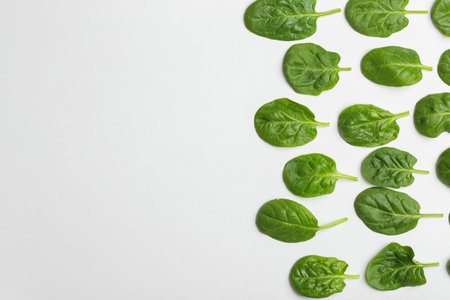 Fresh leaves of spinach isolated on white, top viewの写真素材