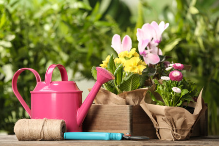 Blooming flowers and gardening equipment on table outdoorsの写真素材