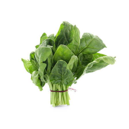 Bundle of fresh spinach isolated on whiteの写真素材
