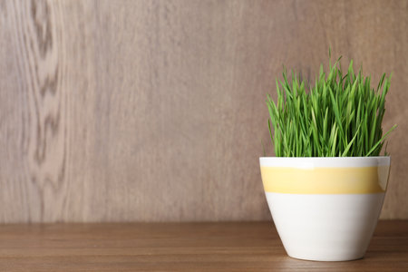 Pot with wheat grass on table against wooden background. Space for textの写真素材