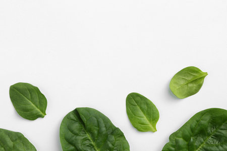 Fresh leaves of spinach isolated on white, top viewの写真素材