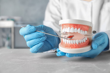 Dentist holding educational model of oral cavity at table in clinic, closeupの写真素材