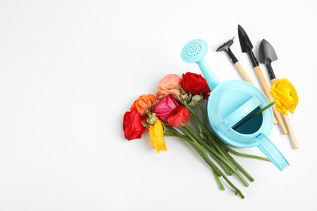 Beautiful flowers and gardening equipment on white background, top viewの写真素材