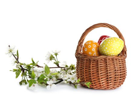 Painted Easter eggs in wicker basket and blossoming branches on white backgroundの写真素材
