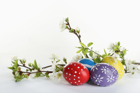 Painted Easter eggs and blossoming branches on white backgroundの写真素材