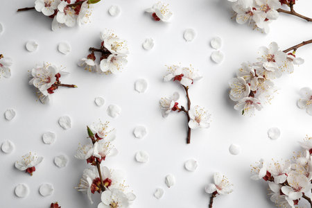 Beautiful fresh spring flowers on white background, top viewの写真素材