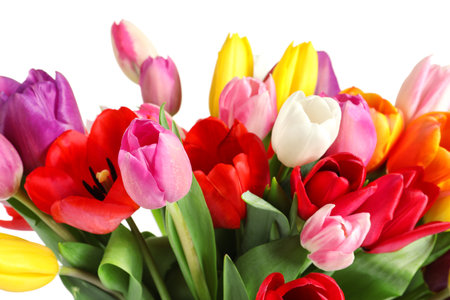 Beautiful bouquet of bright tulip flowers on light background, closeupの写真素材