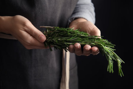 Woman holding fresh rosemary twigs on black background, closeupの写真素材