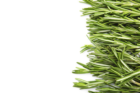 Fresh rosemary twigs on white background, top viewの写真素材