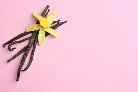 Flat lay composition with vanilla sticks and flower on pink background. Space for textの写真素材
