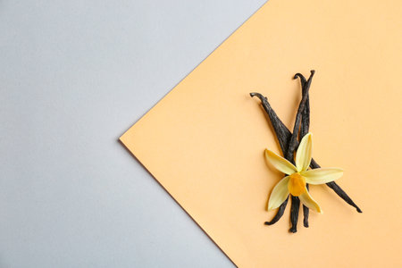 Flat lay composition with vanilla sticks and flower on color background. Space for textの写真素材