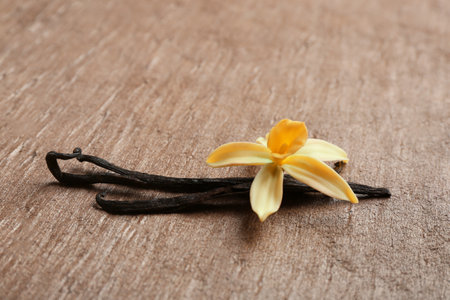 Vanilla sticks and flower on brown background. Space for textの写真素材
