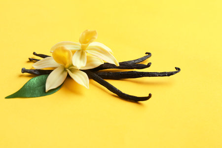 Vanilla sticks and flowers on yellow background. Space for textの写真素材