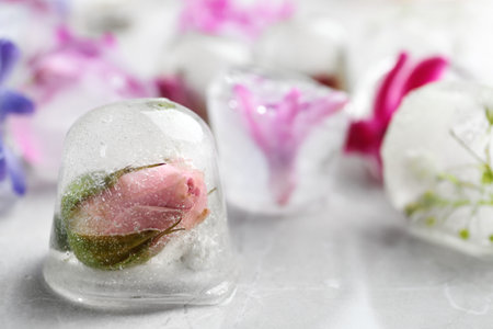 Ice cubes with flowers on light background, closeup