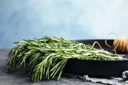 Plate with fresh rosemary twigs on table, closeupの写真素材
